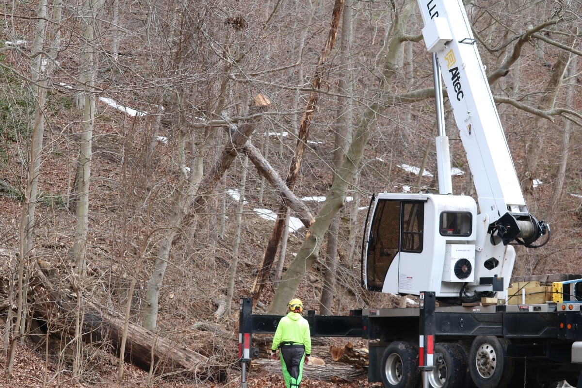 Crane Rental Services Llc fleet
