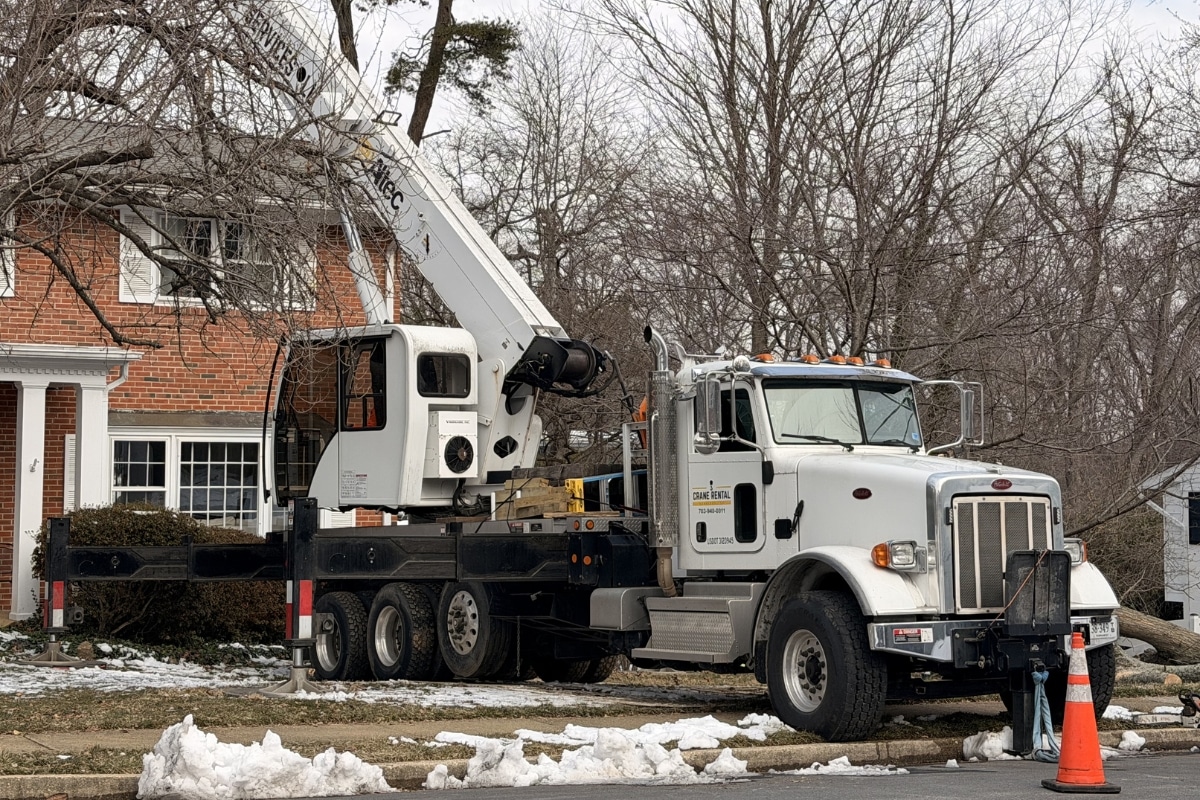 Crane Rental Services Llc fleet