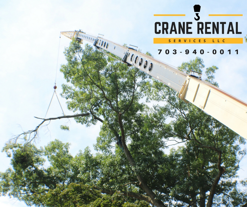 Crane-Rental-Services-LLC-6.jpg